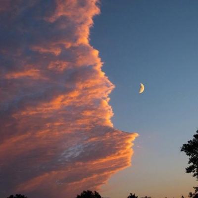 任你博手机app下载截图